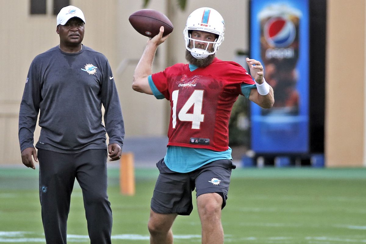 Dolphins Minicamp