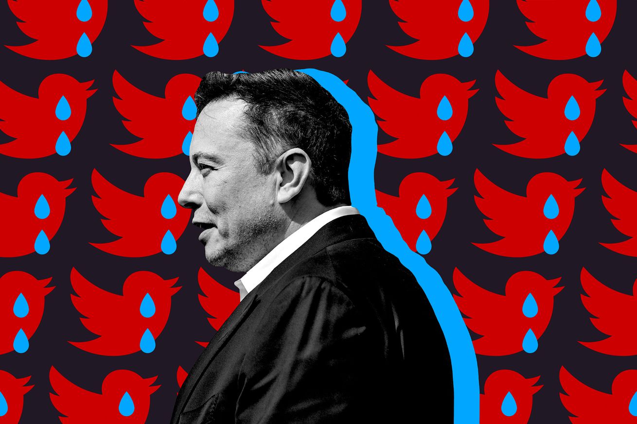 Elon Musk stands in front of Twitter’s logo.