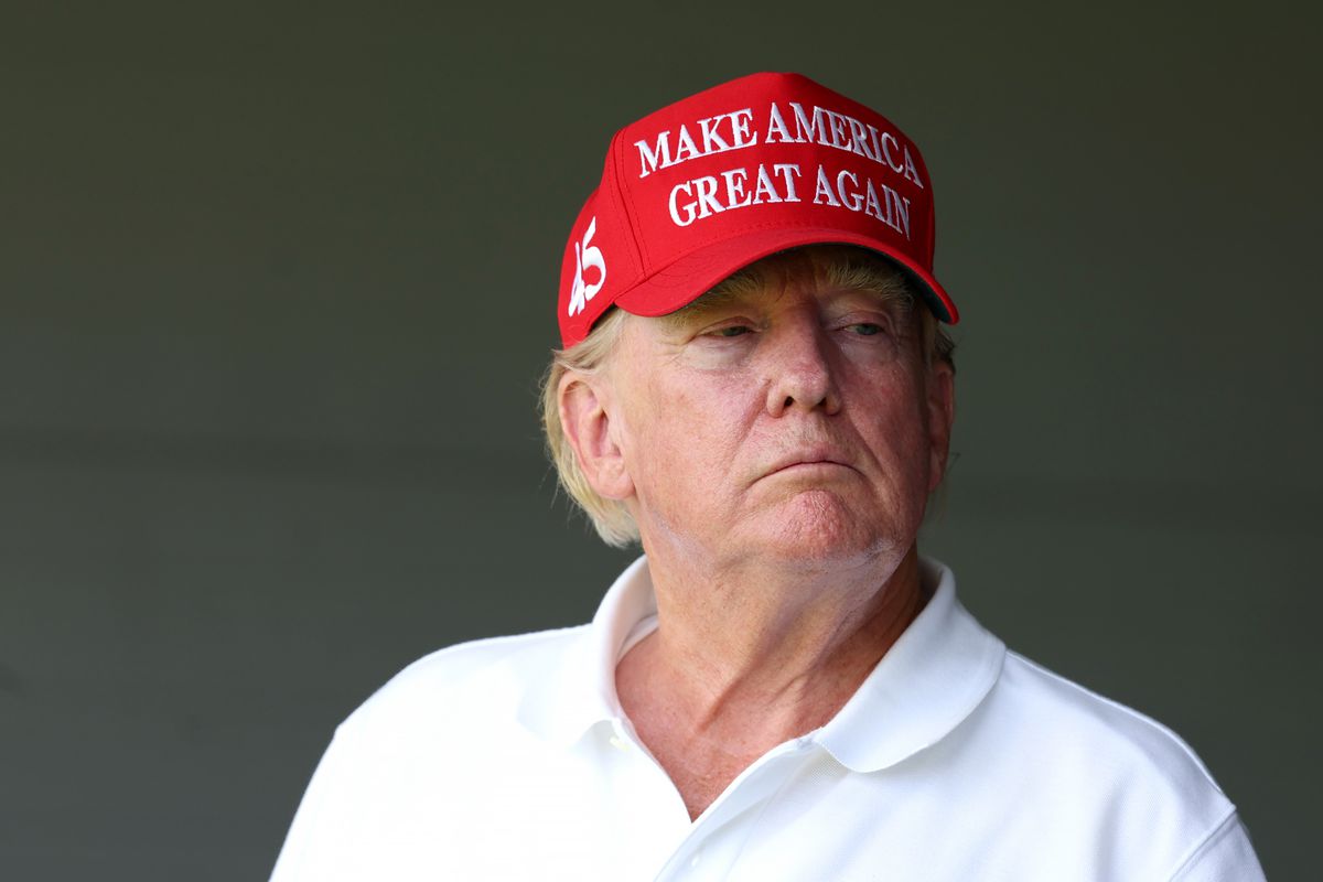 Trump in a MAGA hat. 