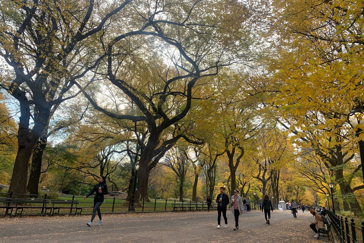 People walk along the Central Park Mall, Nov. 11, 2021.