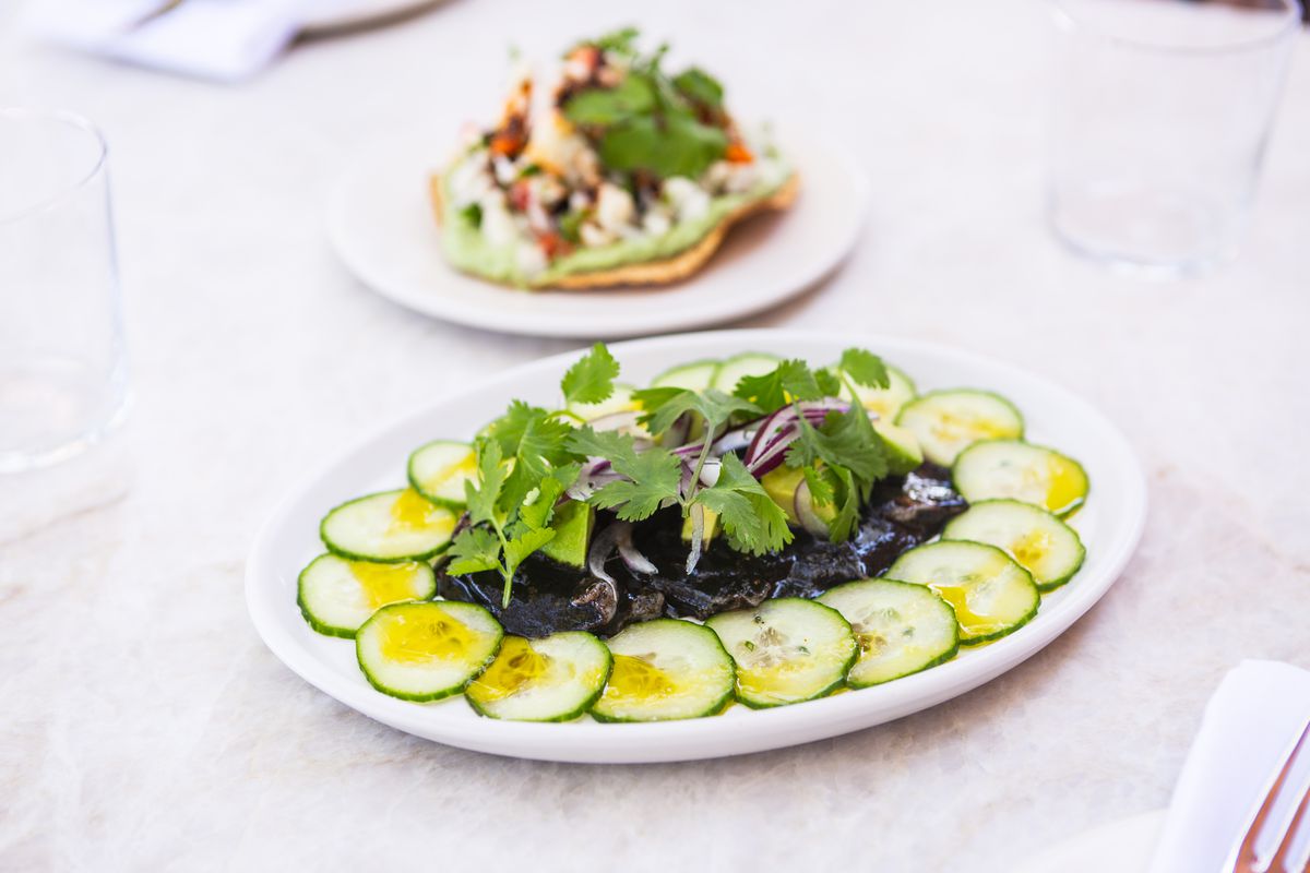 An oval white plate lined with sliced cucumbers with black sauce and herbs in the middle.