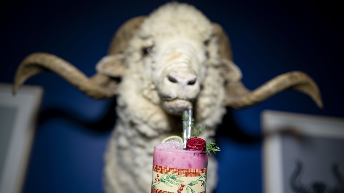 A mountain ram’s head appears to be drinking a cocktail with a straw