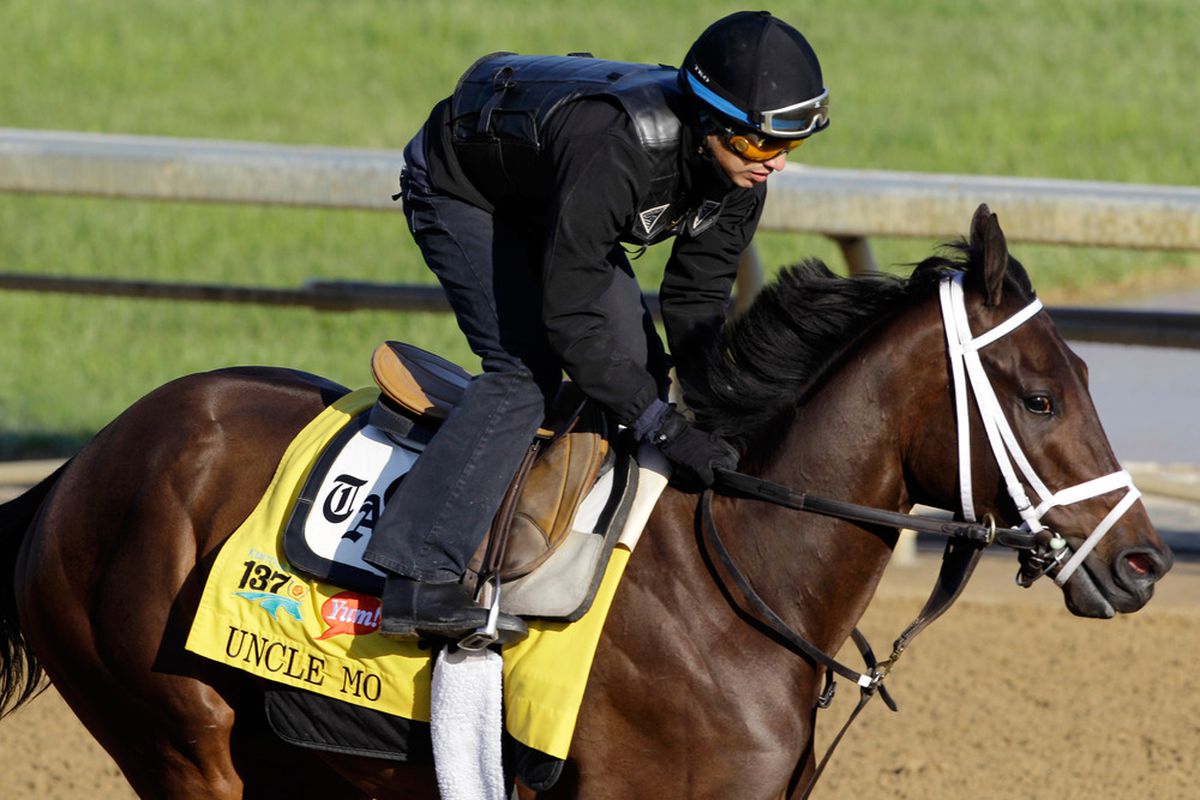 Uncle Mo is the betting line favorite in Saturday's Breeders' Cup Classic.  (Photo by Rob Carr/Getty Images)