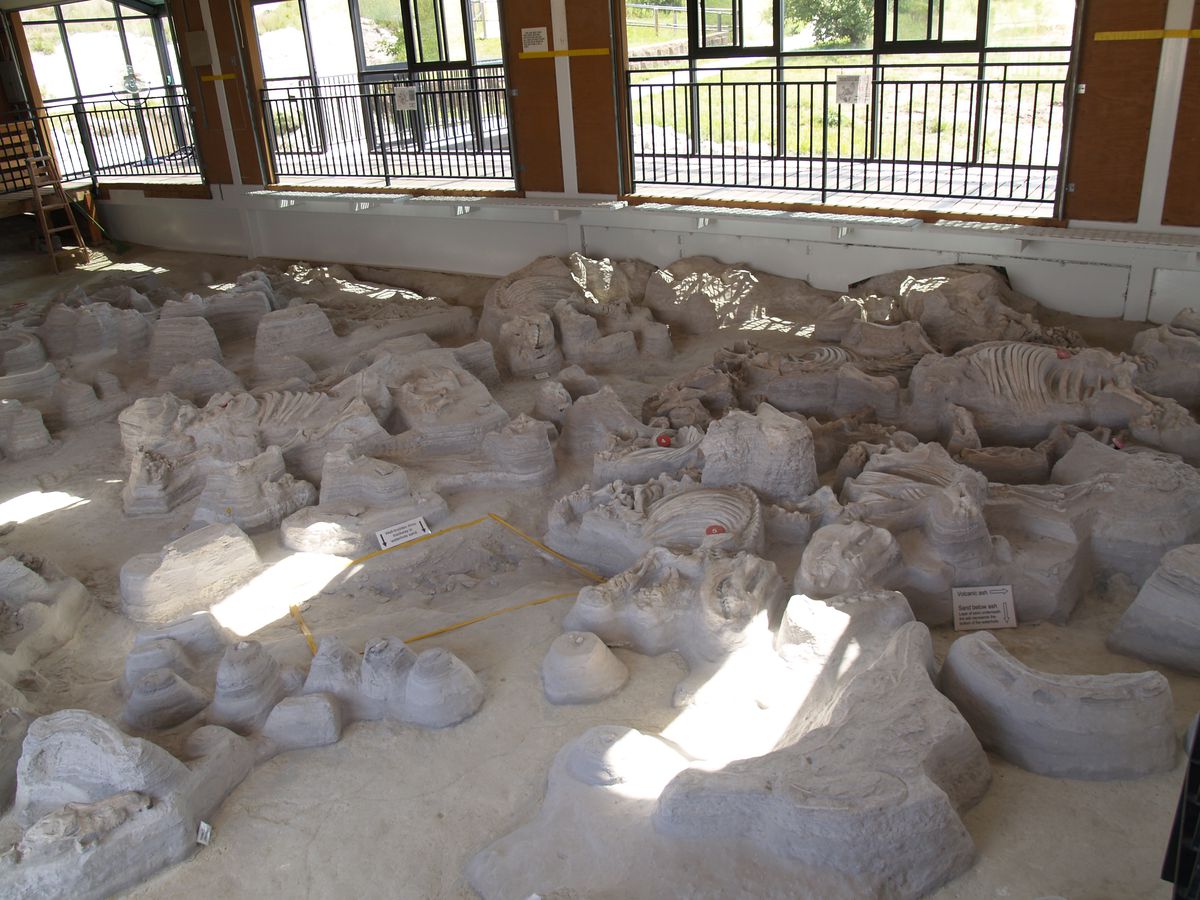 ashfall fossil beds