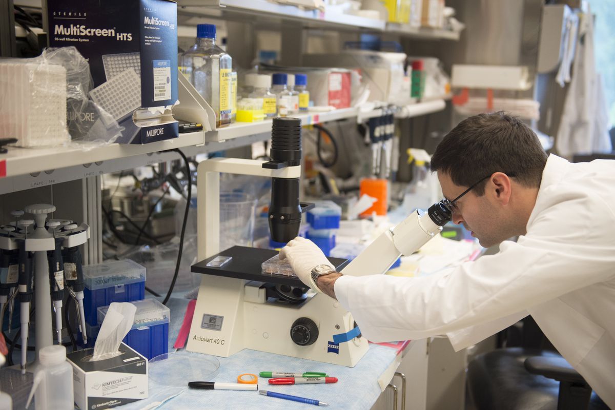 Photo of a scientist in a NIH lab performing cancer research