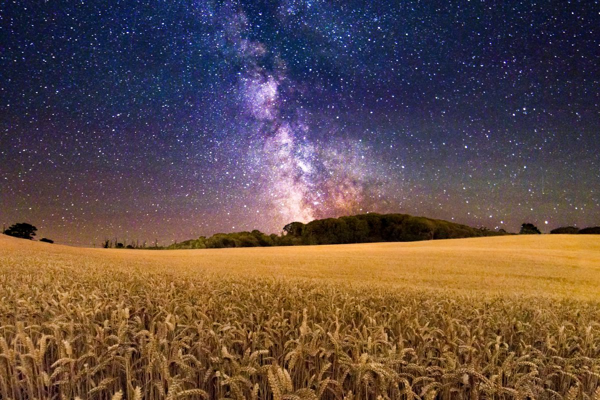 Out Of This World: Milky Way Skyscapes