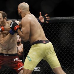 Warlley Alves connects at UFC 224.