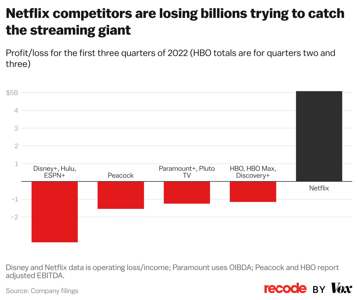 Netflix was the only streaming company to turn a profit last year, while others lost billions of dollars.