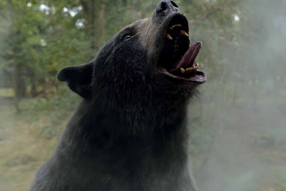 A coked-to-the-gills CGI bear throws back its head and extends its tongue to breathe in a cloud of still more cocaine in the movie Cocaine Bear