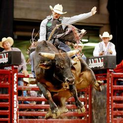 Elliot Jacoby of Fredericksburg Texas, rides Magic Man during the final night of competition Saturday, July 25, 2015, of the Days of 47 Rodeo at EnergySolutions Arena in Salt Lake City.