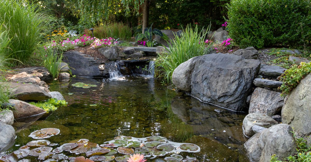Creating Garden Ponds and Water Features 