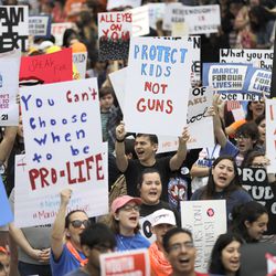 Demonstrators cheer during a "March for Our Lives" protest for gun legislation and school safety Saturday, March 24, 2018. Students and activists across the country planned events Saturday in conjunction with a Washington march spearheaded by teens from Marjory Stoneman Douglas High School in Parkland, Fla., where over a dozen people were killed in February. (AP Photo/David J. Phillip)
