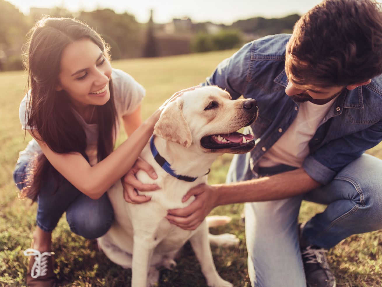 If your new dog or cat gets sick or injured, an unexpected medical bill can derail your budget. For a growing number of Americans, pet insurance provides peace of mind.