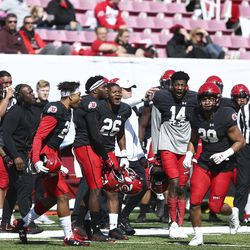 The Utes' defensive team celebrates a tackle by one of their players during the University of Utah scrimmage at Rice-Eccles Stadium in Salt Lake City on Saturday, March 30, 2019.