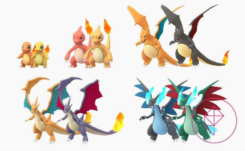 A graphic showcasing all of Charmander’s evolutions with their respective Shiny forms.