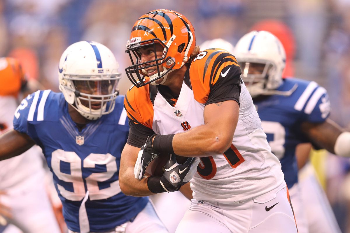 INDIANAPOLIS, IN - AUGUST 30:  Colin Cochart #81 of the Cincinnati Bengals runs with the ball during the game against the Indianapolis Colts at Lucas Oil Stadium on August 30, 2012 in Indianapolis, Indiana.  (Photo by Andy Lyons/Getty Images)