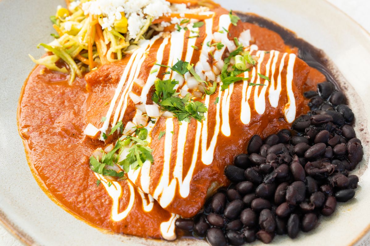 A plate of sauce-drenched enchiladas.