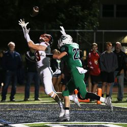Brother Rice’s Dylan Summers (13) catches a touchdown. Allen Cunningham/For the Sun-Times.