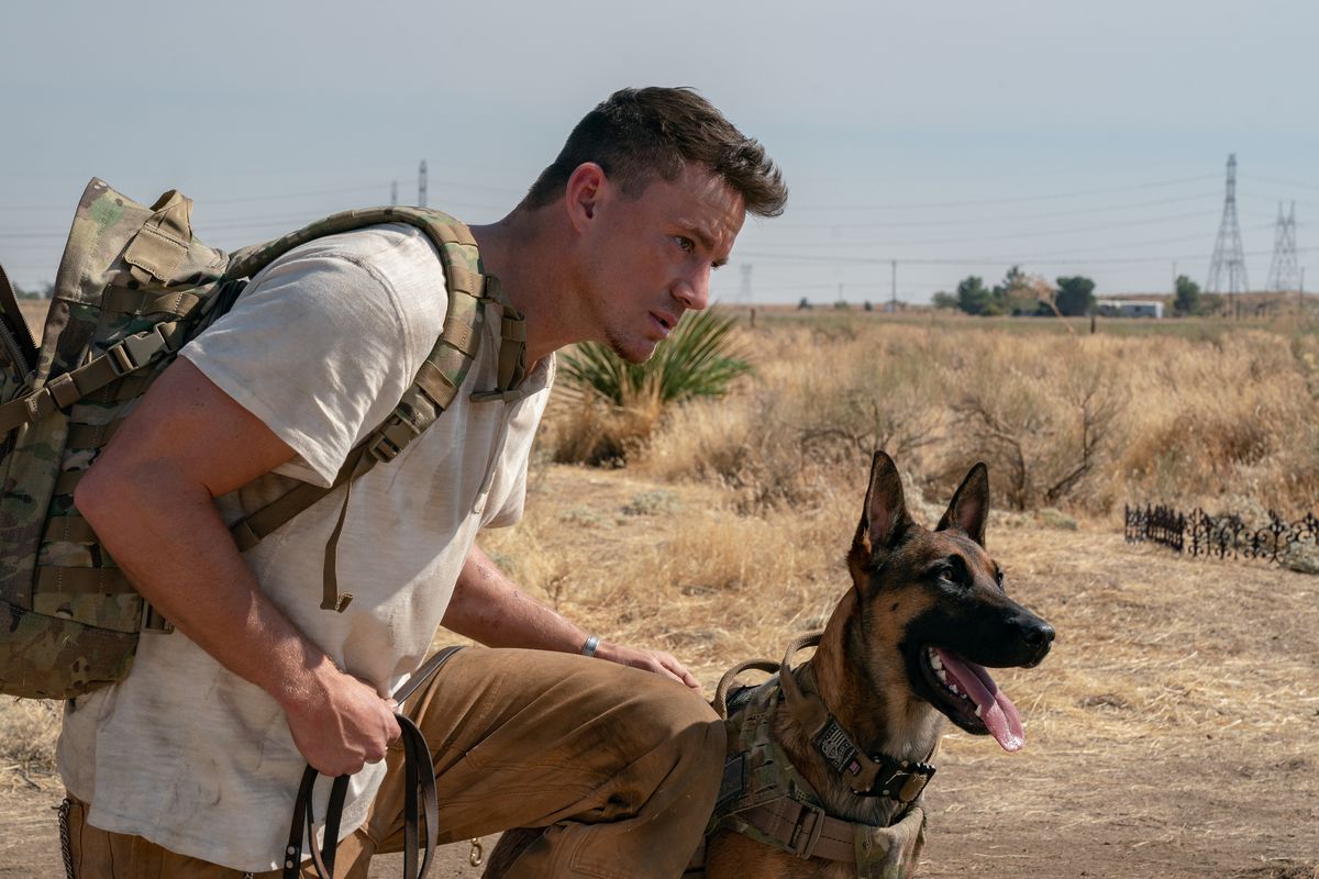 Channing Tatum and Lulu the Belgian Malinois crouch in what looks like a desert area in Dog.