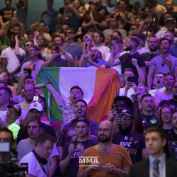 Irish fans cheer on Conor McGregor at UFC 229 press conference.