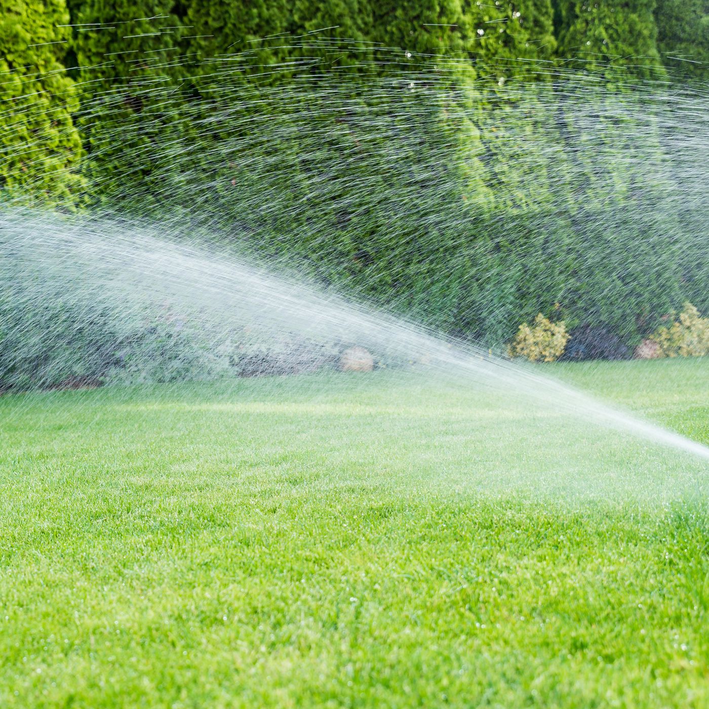 Webbers landscaping and sprinkler systems