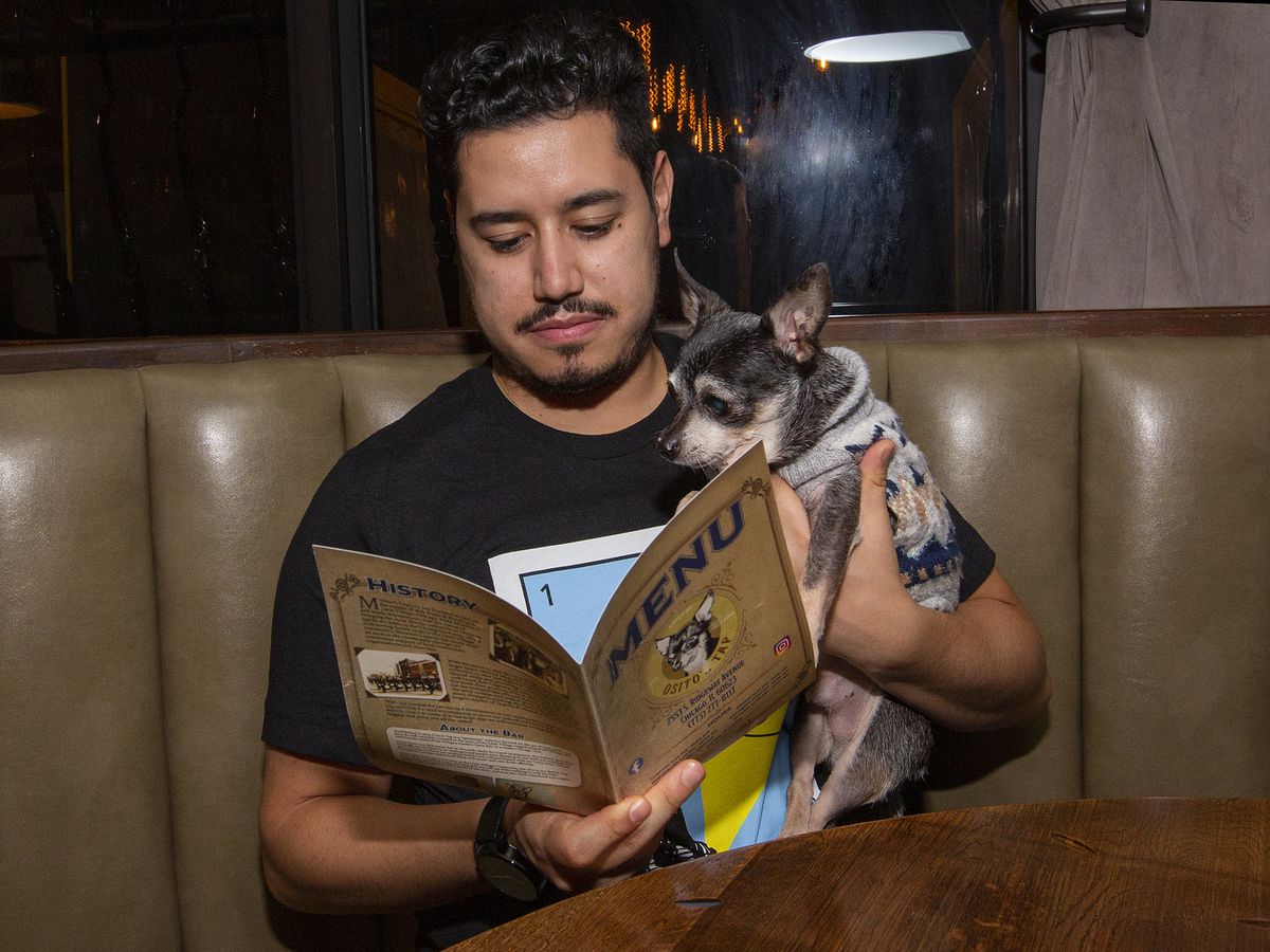 A man holding a menu seated in a booth with a chihuahua.