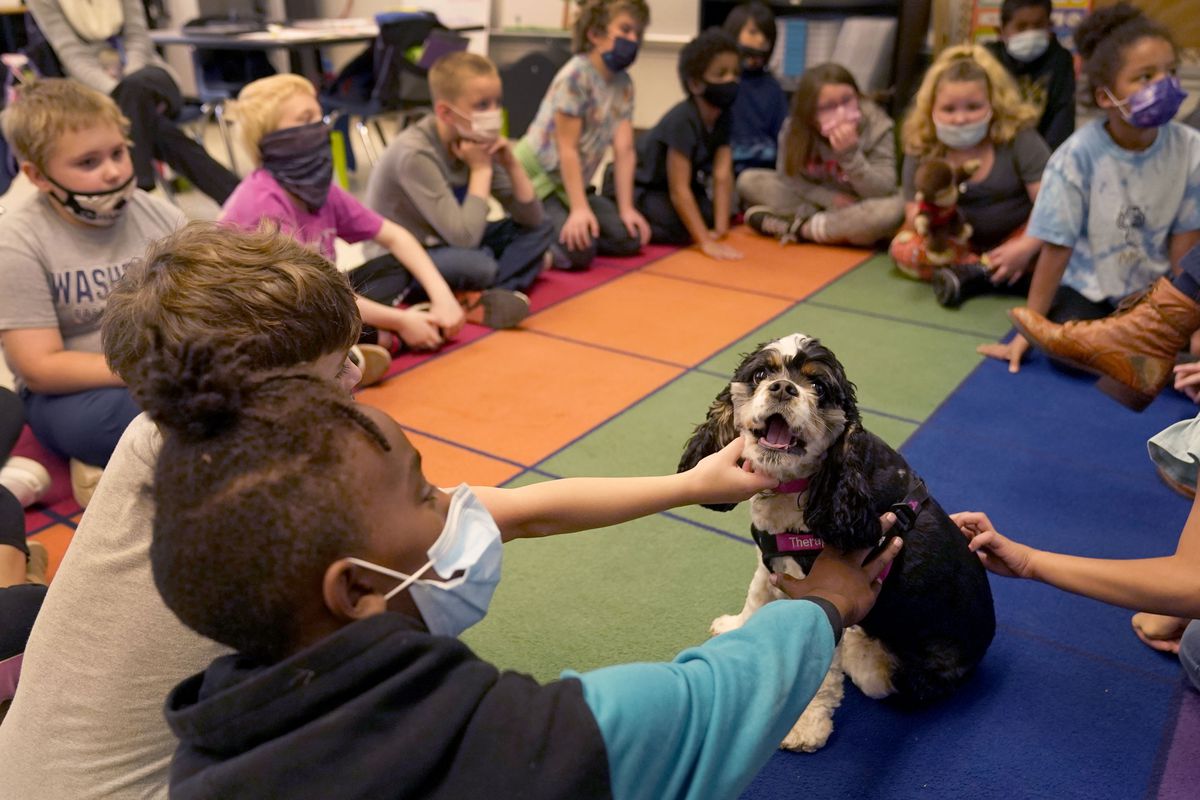 Several elementary students sit on a rug together in a circle and take turns petting a therapy dog