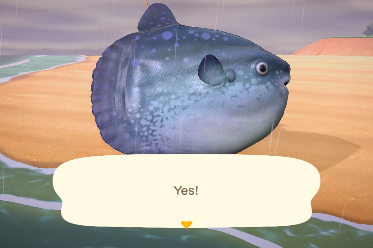 An Animal Crossing character holds up an Ocean Sunfish, but it’s so big that you can’t see the character behind the fish.