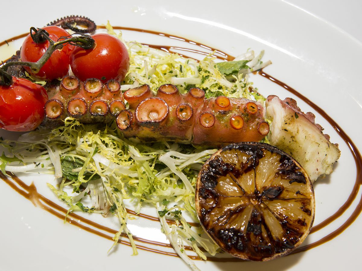 A large grilled octopus tentacle on a white plate with tomatoes and frisee.