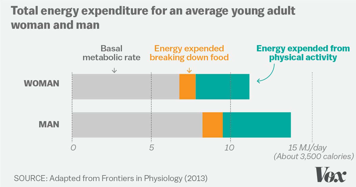 total energy expenditure
