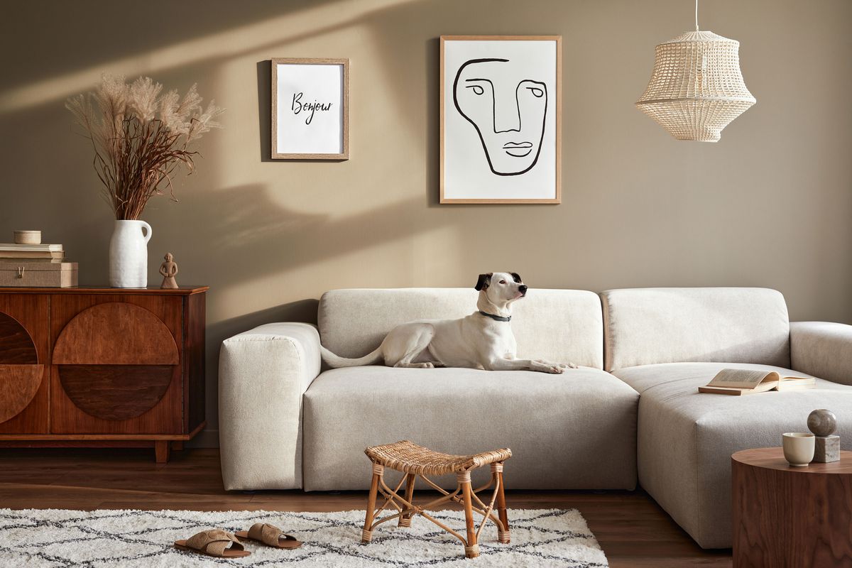 Stylish living room with a dog laying on the couch.