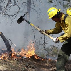 An AmeriCorps volunteer firefighter assigned to the El Paso County Sheriff's Office, Woodland Fire Crew, helps contain a spot fire in an evacuated area of forest, ranches and residences, in the Black Forest wildfire area, north of Colorado Springs, Colo., on Thursday, June 13, 2013.  The blaze in the Black Forest is now the most destructive in Colorado history, surpassing last year's Waldo Canyon fire, which burned 347 homes, killed two people and led to $353 million in insurance claims. (AP Photo/Brennan Linsley)