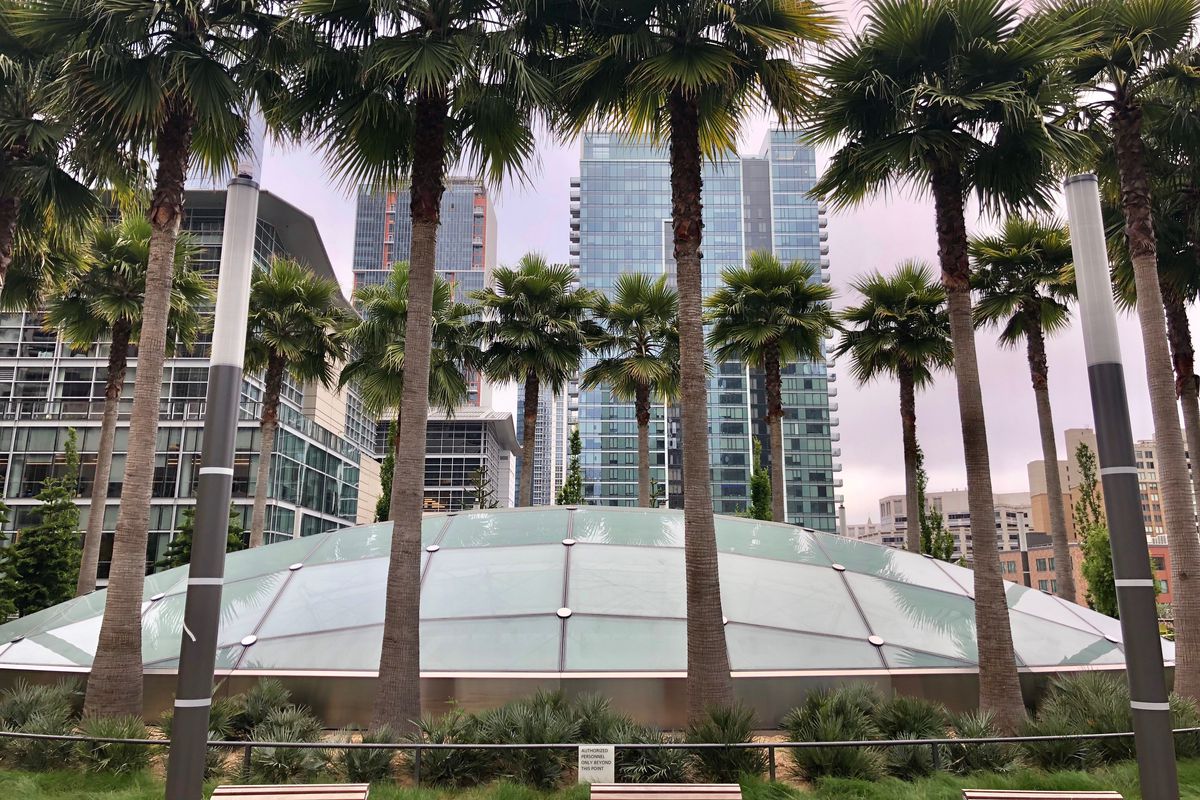 Atop Salesforce Park, a ring of palm trees with downtown SF in the distance.
