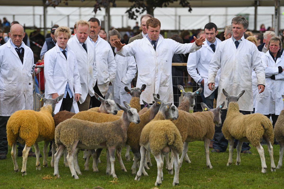 The Royal Highland Show - One Of Scotland's Most Iconic Events