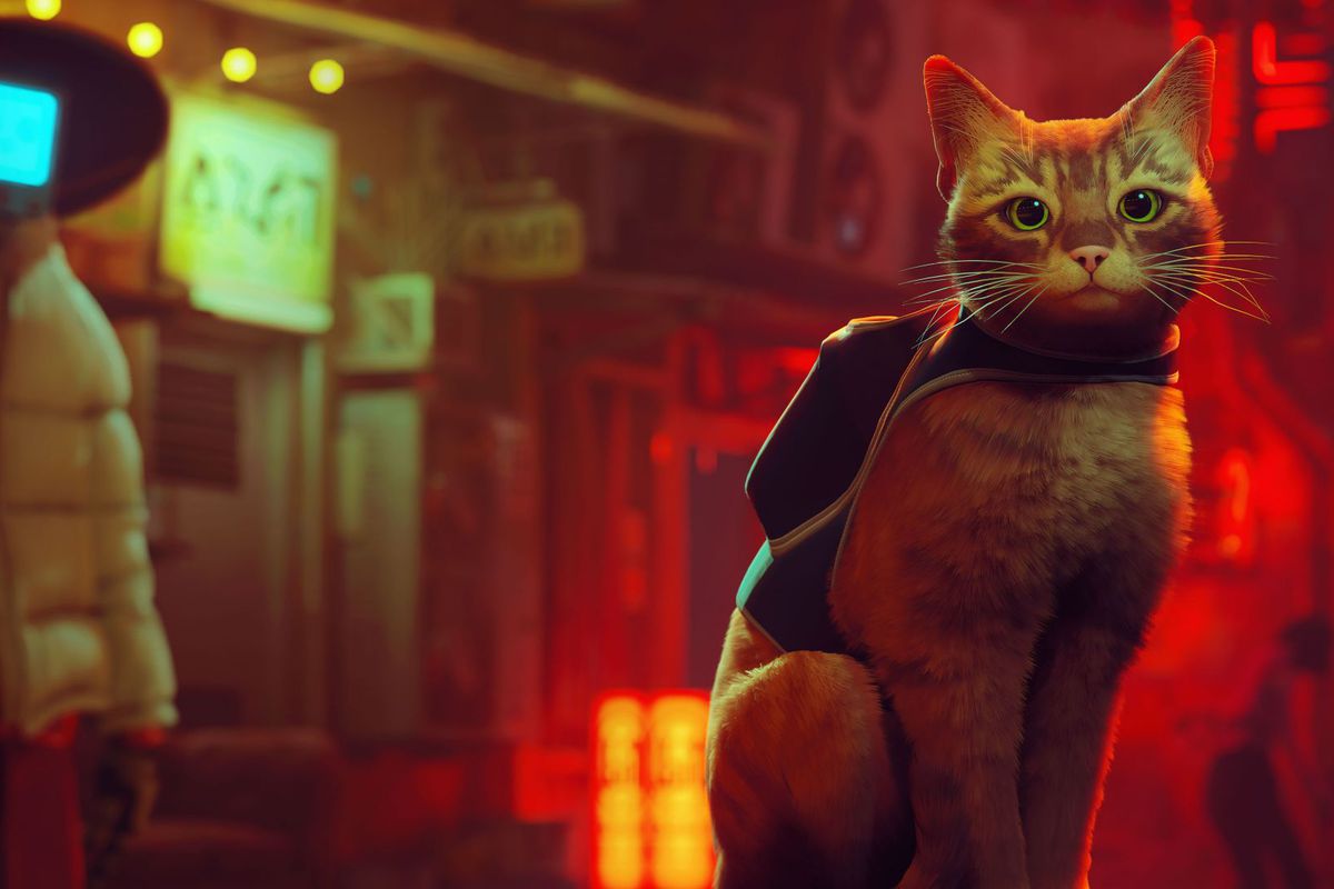an image of the cat protagonist in Stray. it’s an orange tabby cat and it’s looking into the camera with its yellow eyes while wearing a backpack