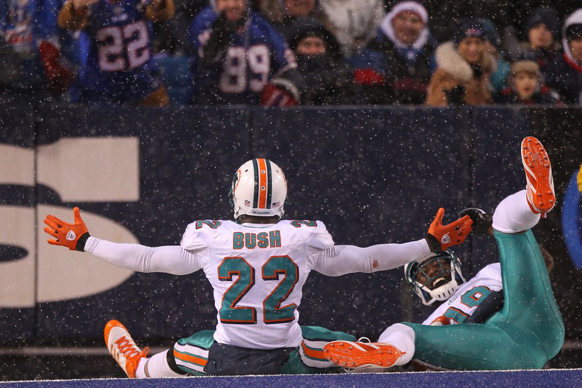 Miami Dolphins running back Reggie Bush and wide receiver Brandon Marshall celebrate Bush's 76-yard touchdown run against the Buffalo Bills. (I know, I already used this picture once, but come on, it's a great picture.)
