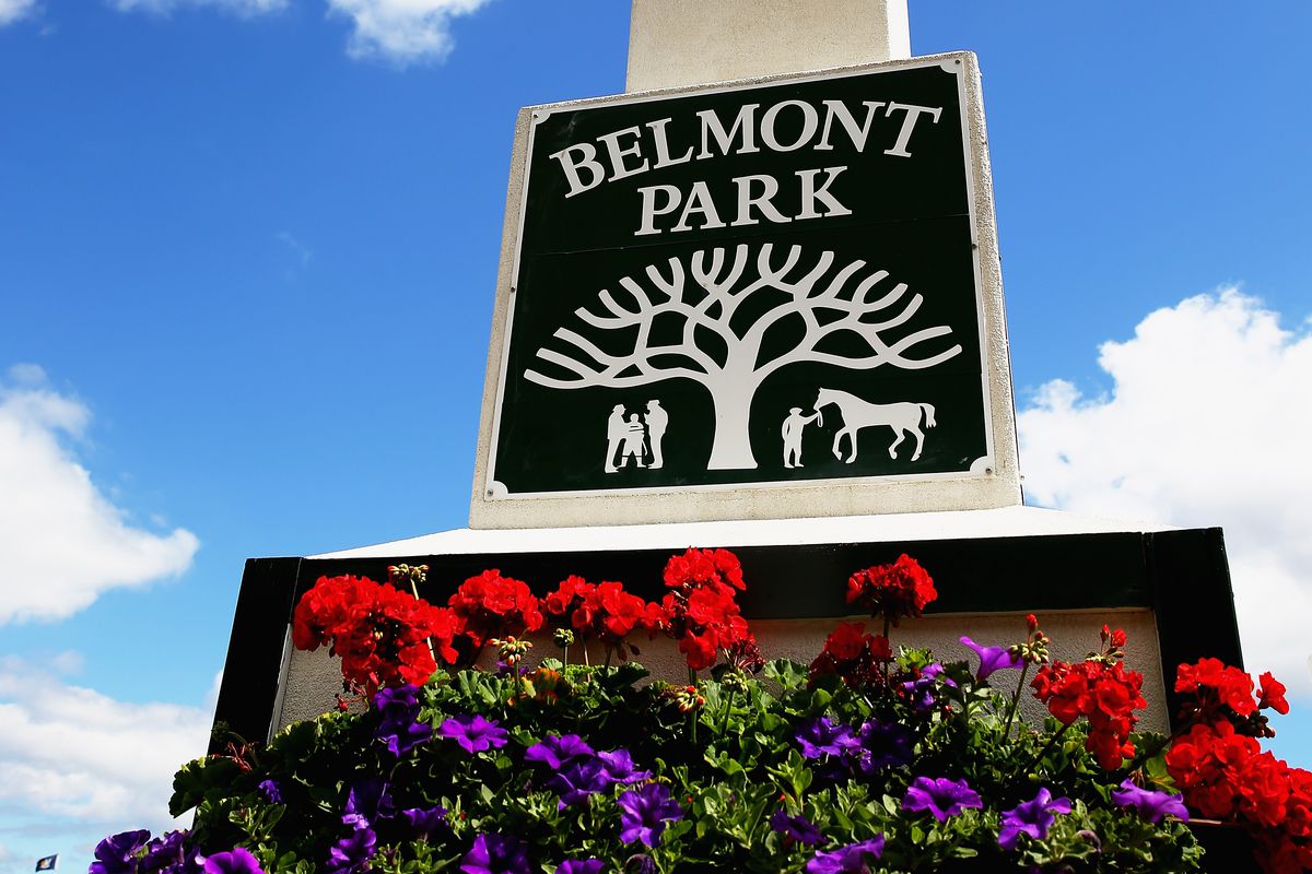 Belmont Stakes 2014 - Previews