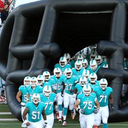 Aug 4, 2013; Canton, OH, USA; The Miami Dolphins take the field before their game against the Dallas Cowboys at Fawcett Stadium.
