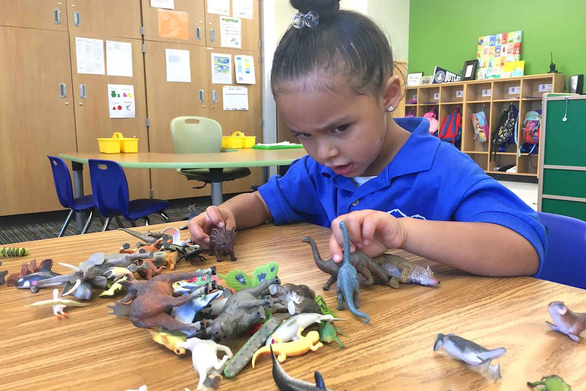 A preschooler at KIPP Northeast Elementary School plays with dinosaurs.