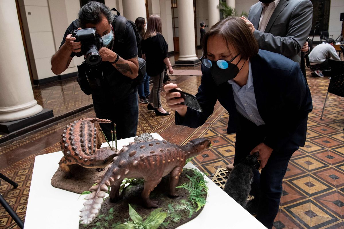 People in Santiago, Chile, take pictures of models of a Stegouros elengassen, a new species of non-avian dinosaur the remains of which were discovered intact in Patagonia.