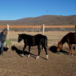 Kris Getzie, owner of 8D Ranch, feeds her young horses at her ranch in Oakley, Summit County, on Thursday, Dec. 2, 2021. Horse property in Utah and the West is an increasingly rare and valuable commodity as it becomes more and more scarce under growth and development pressures, especially in today’s wild housing market.