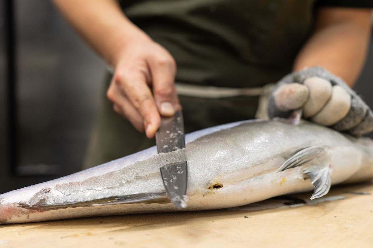 A hand holding a knife scales a fish.