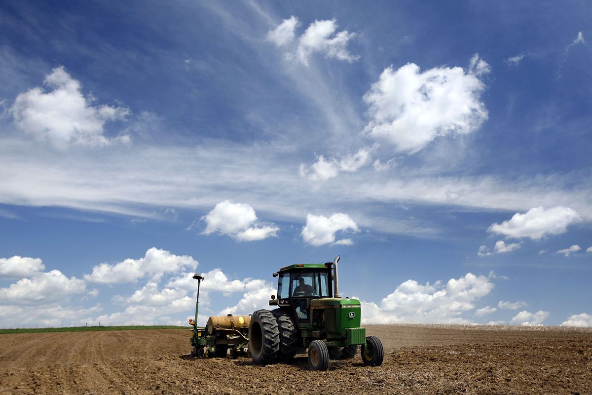 Farmers Plant Corn To Take Advantage Of Prices Driven Up By Ethanol