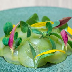 cured fluke with sunflower, green garlic, and cucumber