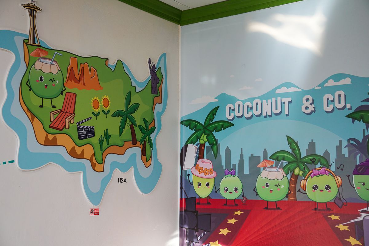 Murals of the story of Coconut &amp; Co.