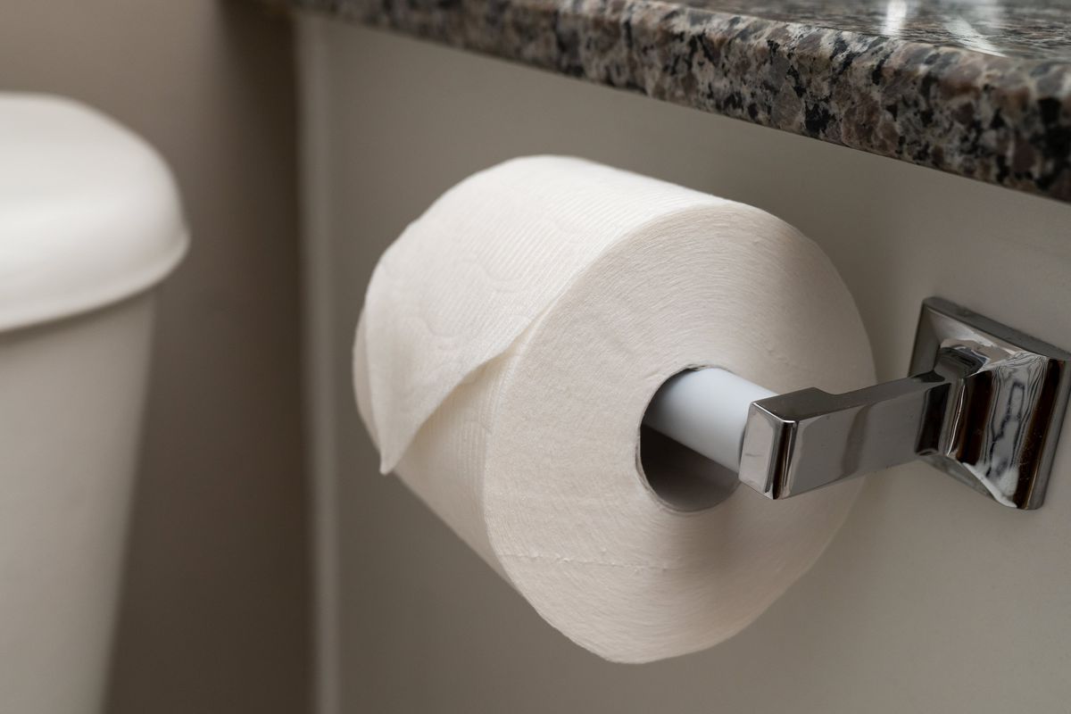 toilet paper, toilet roll