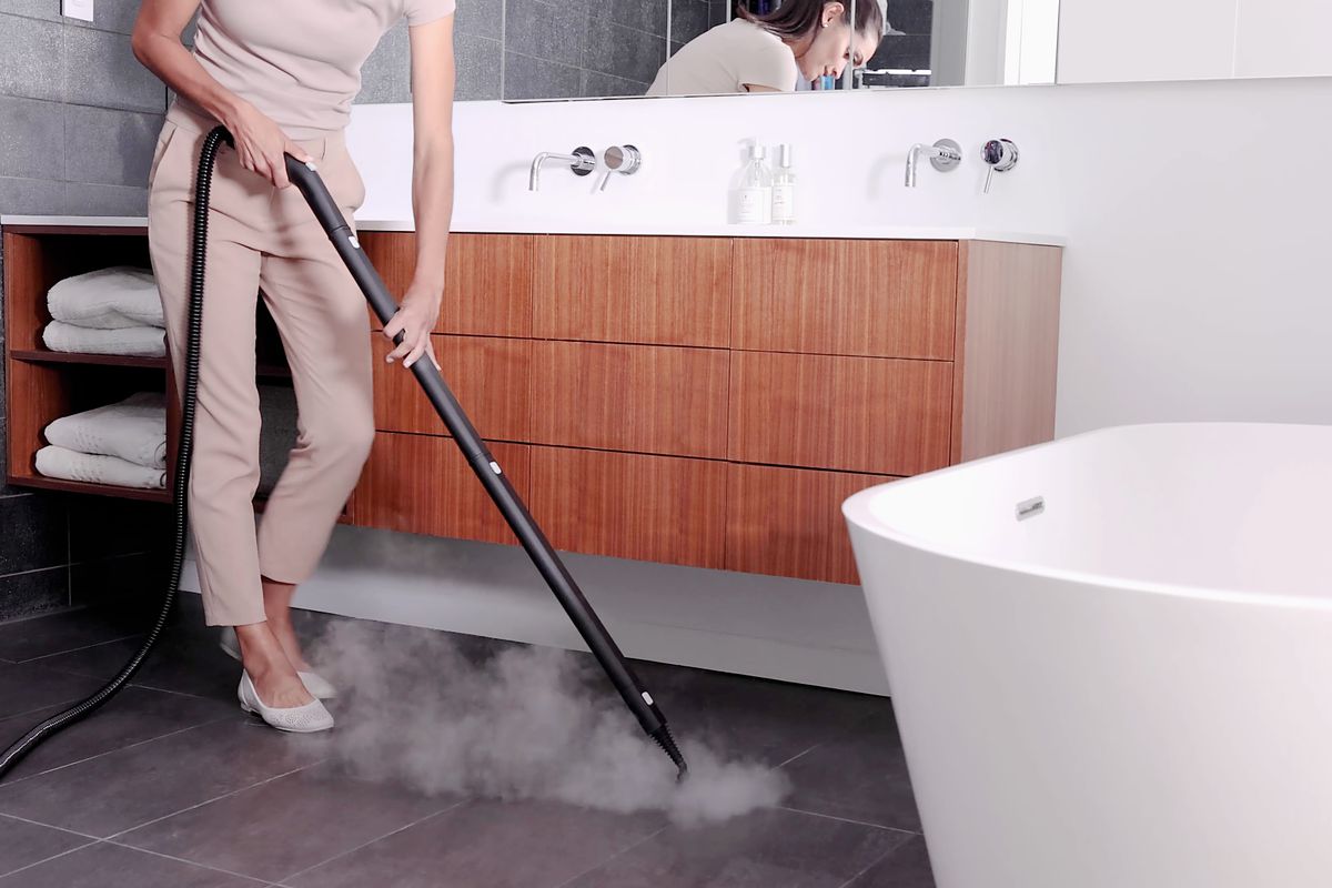 what are the best steam cleaners on the market?