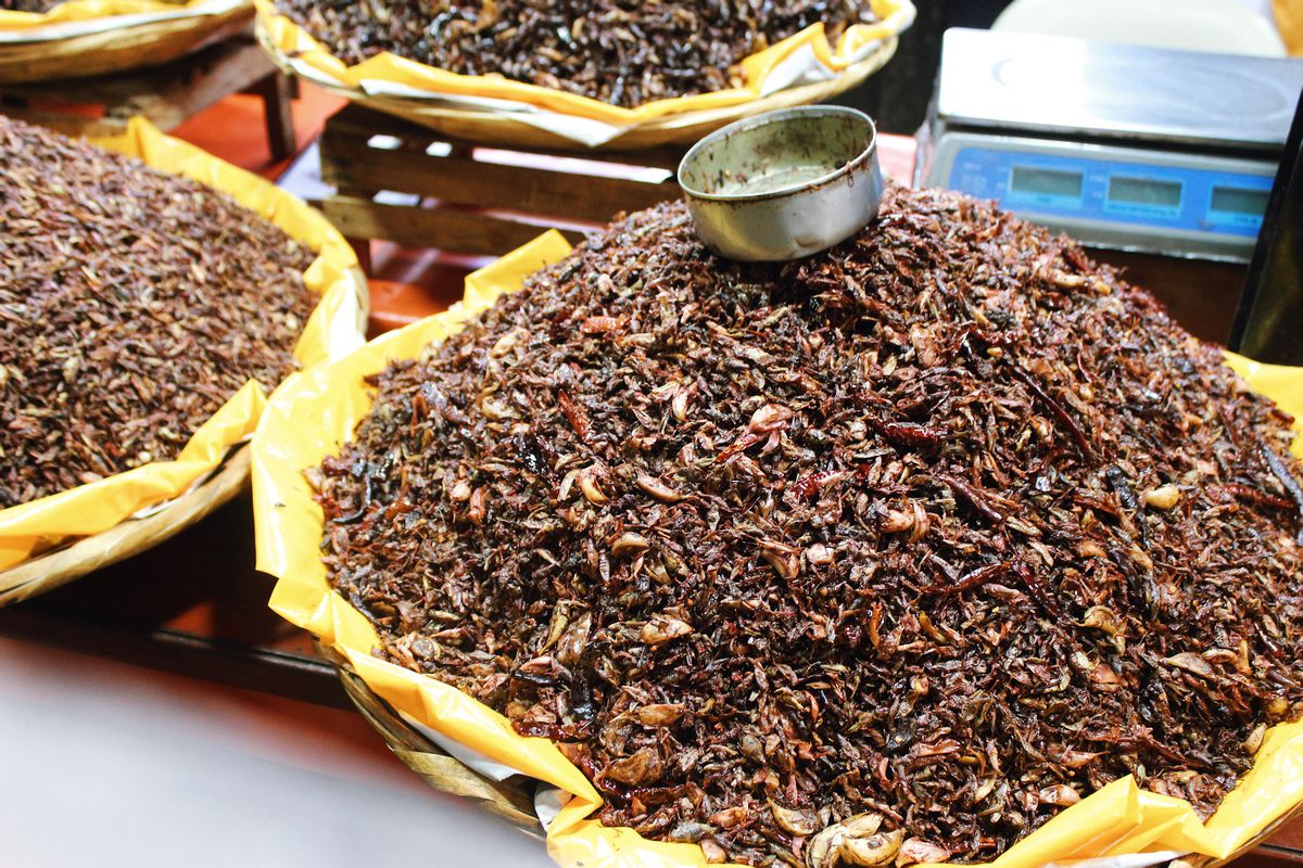 a pile of crispy fried crickets.