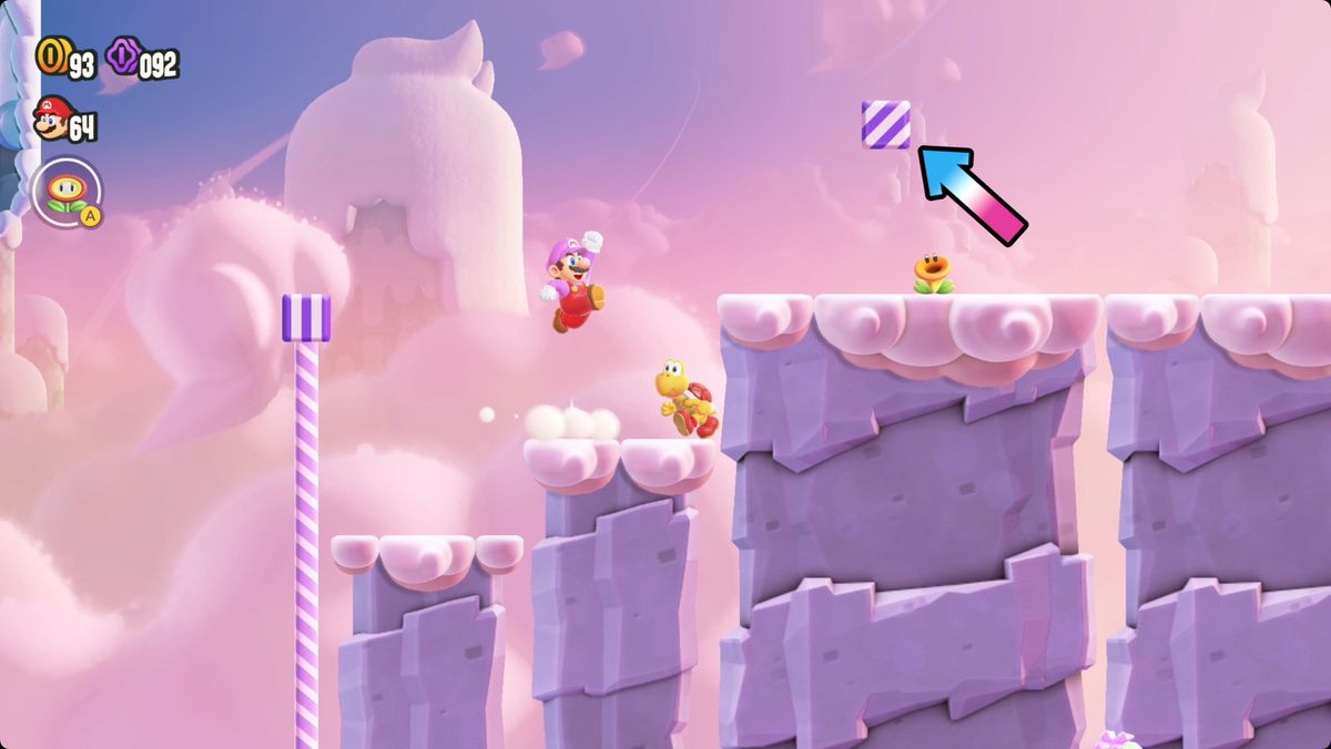 Super Mario Bros. Wonder Pole Block Passage screenshot showing the Wonder Flower location.