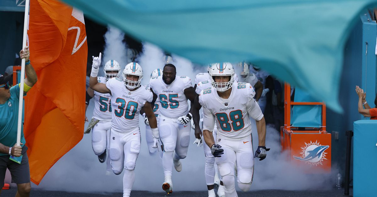miami dolphins playoff chances